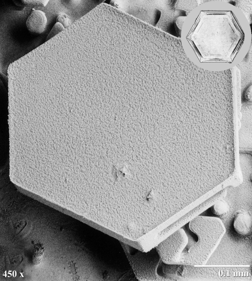 A snowflake that looks like a big flat white hexagon.