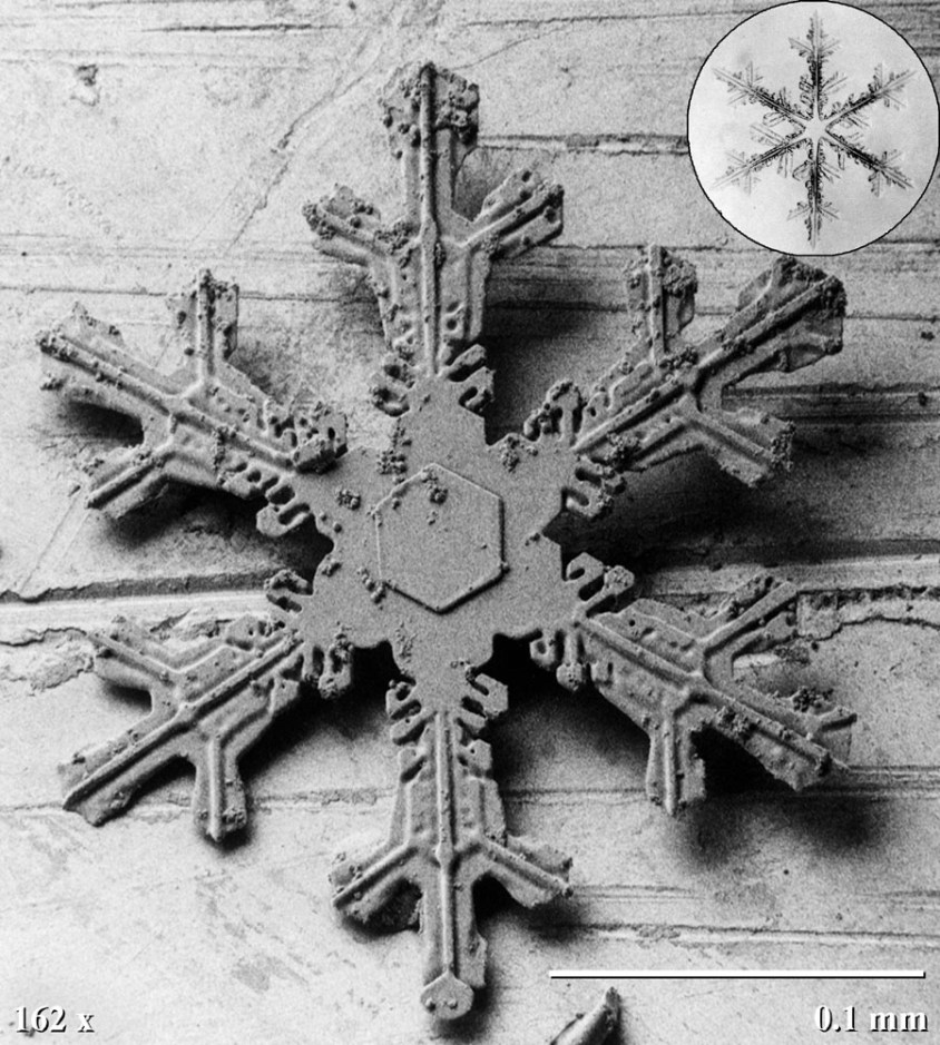What everyone thinks of when they think of snowflakes. Six points, symmetrical, very detailed, and very pretty.