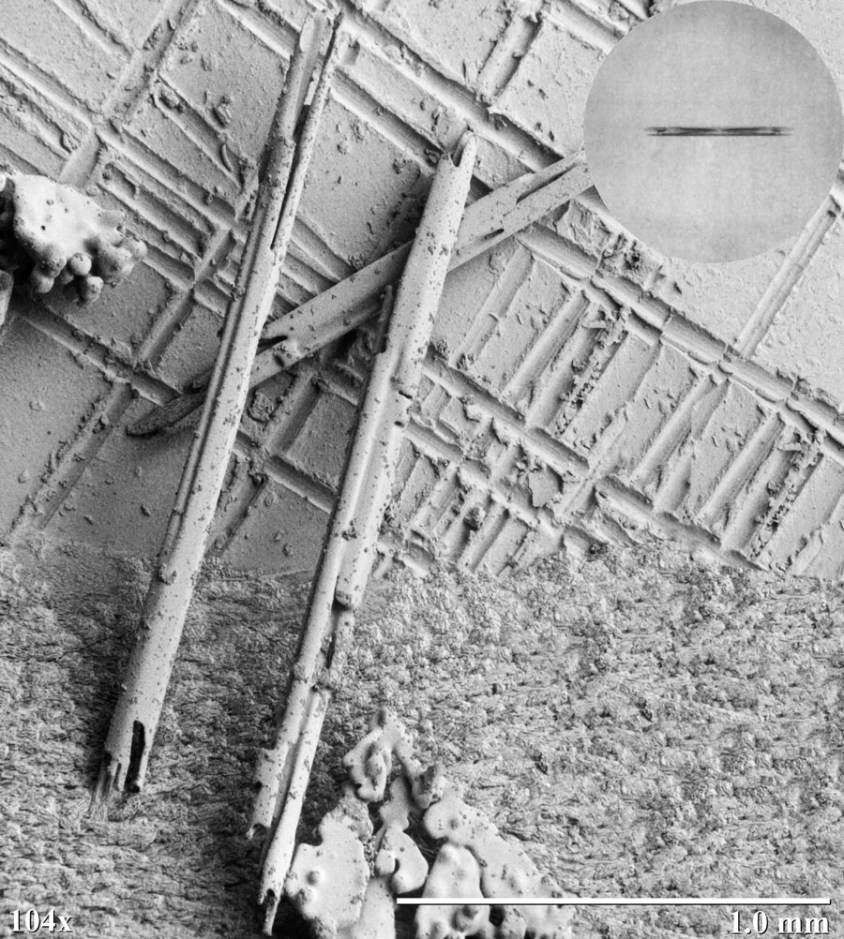 long thin sticks of ice (but not icicles they are 1 mm long and they are snowflakes)