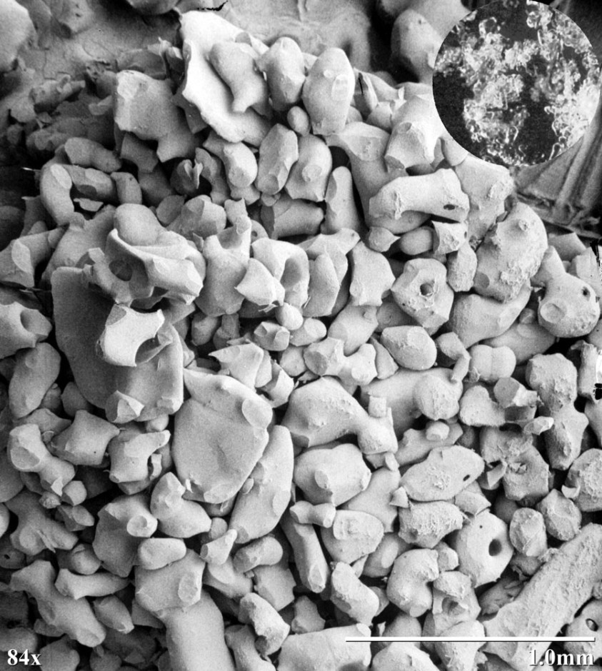 lots of little white balls of snow packed close together