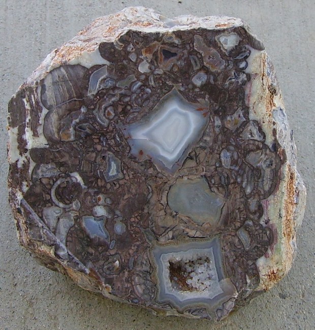 A blue-gray slab cut to reveal many amalgamated chips and pieces of other blue, gray, and white rocks inside, looking like an irregular mosaic.