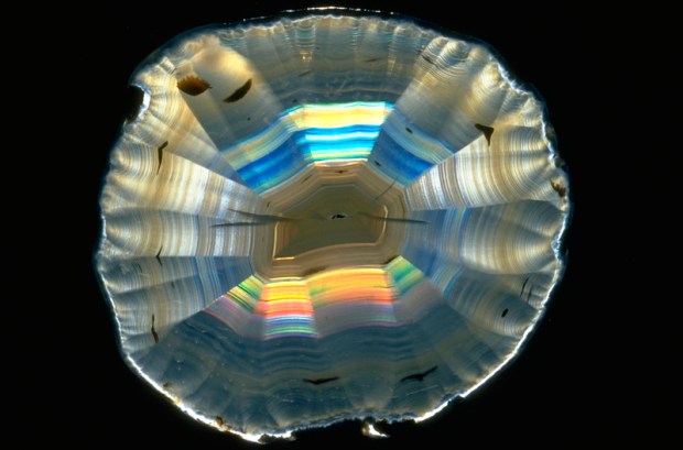 A round, thin, flat slice of agate with rainbow-colored concentric circles that makes it look very much like a compact disc.