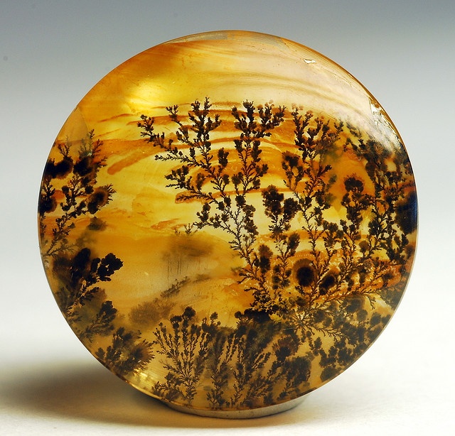 An agate that looks like a painting of flowering vines silhouetted on a beautiful golden sunset background.