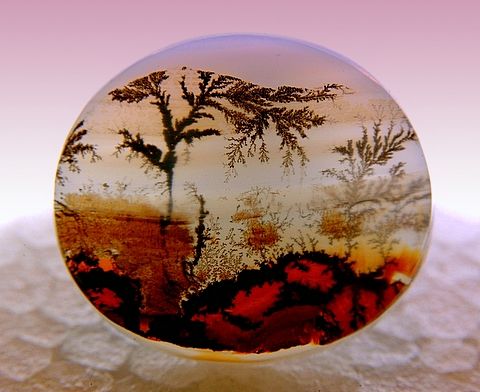 An agate that looks like a red African savannah with a big scraggly tree overhead.