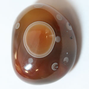 A smooth, round brown stone with a huge light brown circle outlined in white, and some other tiny white circles.