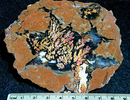 A brown rock with a spiky-shaped cutout containing red and yellow feather shapes.