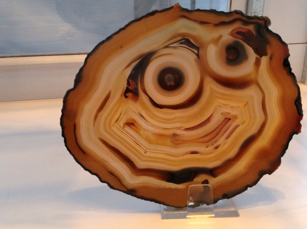 An agate slab with a happy smiley face in its brown bands.