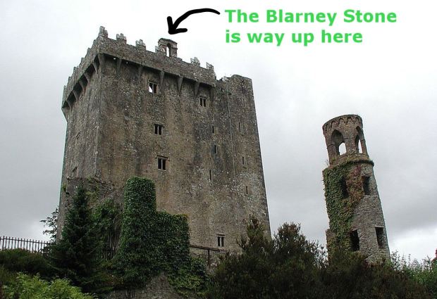 A gray castle towering over the trees planted around it, with an arrow showing that the Blarney Stone is at the top.
