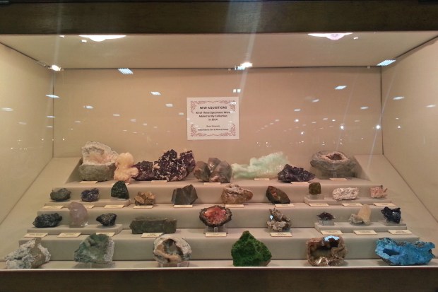 A display made by Bruce from IGAMS showing his new acquisitions from 2014.