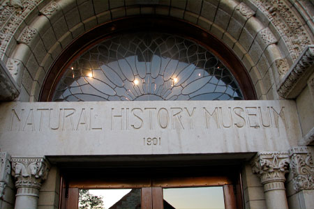Close up of the lunette window at the KU Natural History Museum.