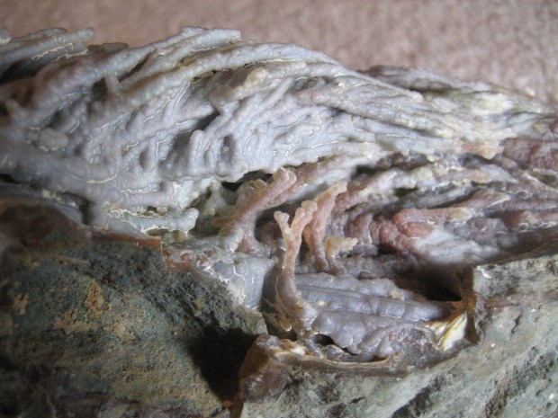 Close-up of blue and orange tubes