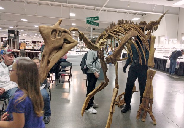 Mr. Bones dinosaur walking around
