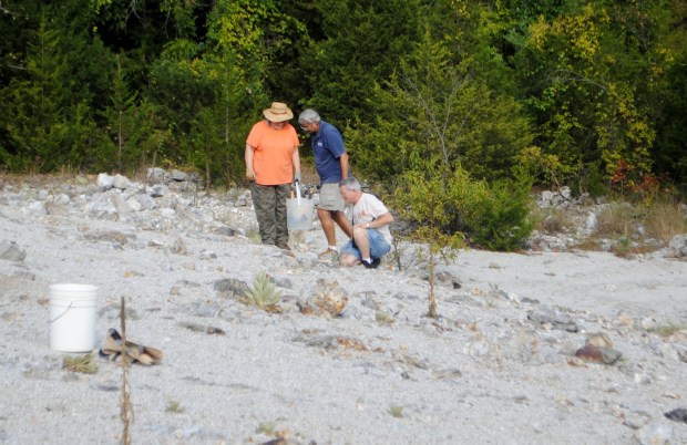people looking at rocks collecting rocks joplin