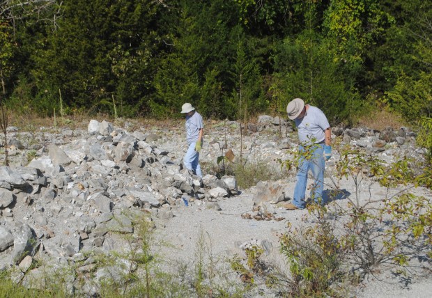 people looking at rocks collecting rocks joplin