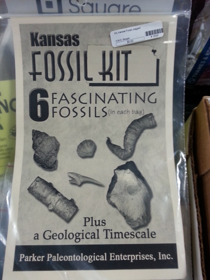 kansas fossils