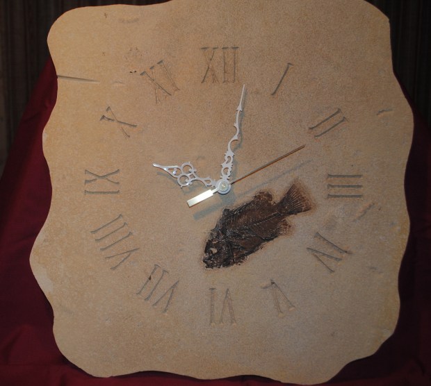fish-fossil-clock