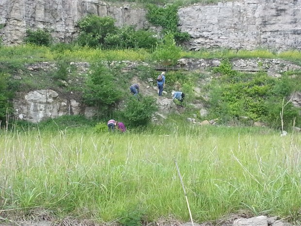 People climbing and finding fossils in Missouri, looking for fossils