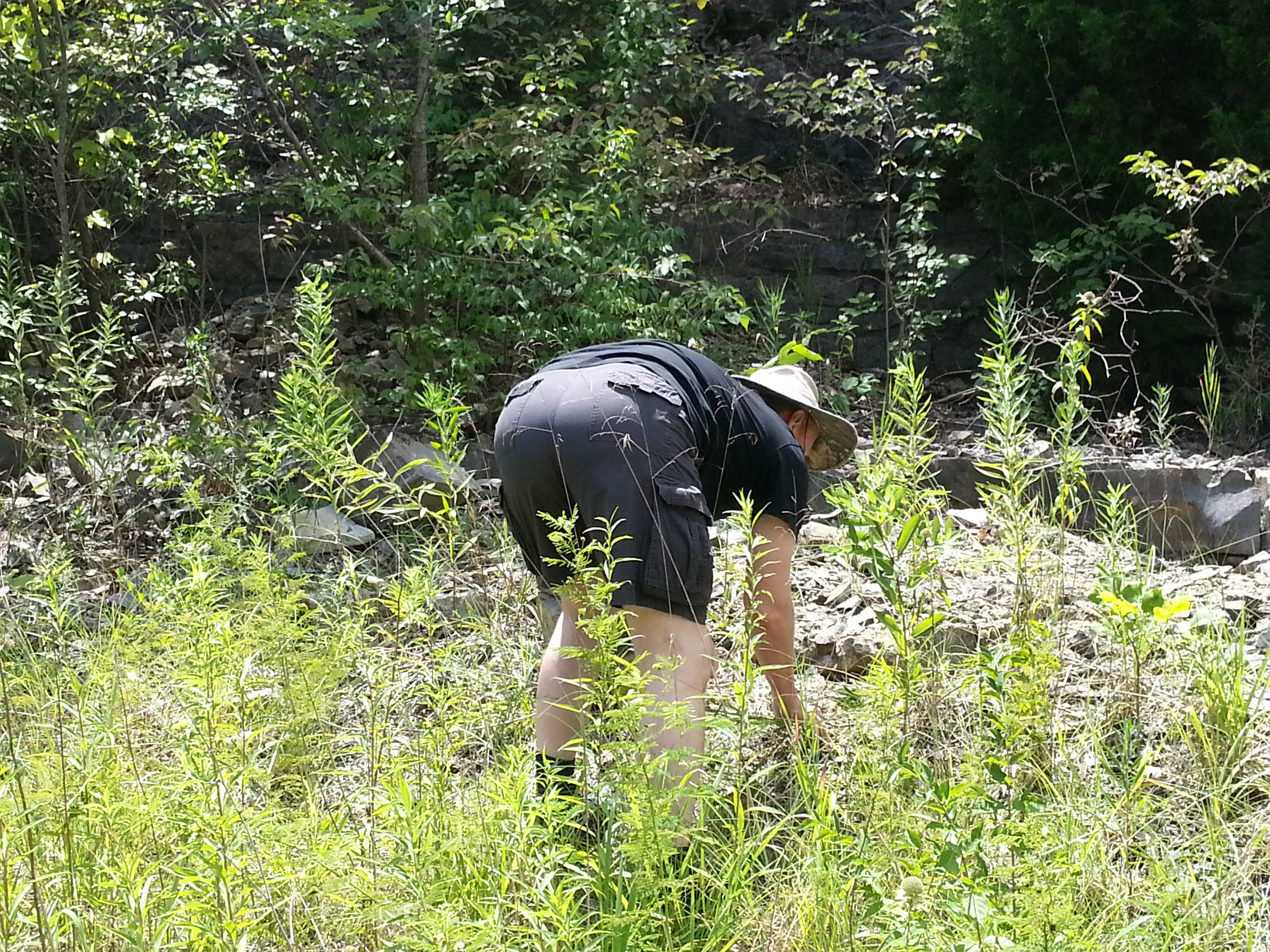 man bending over gathering rocks outdoors