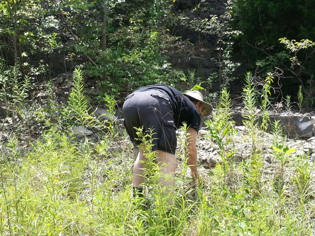 man bending over gathering rocks outdoors