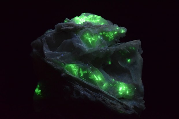 calcite (angel wing)