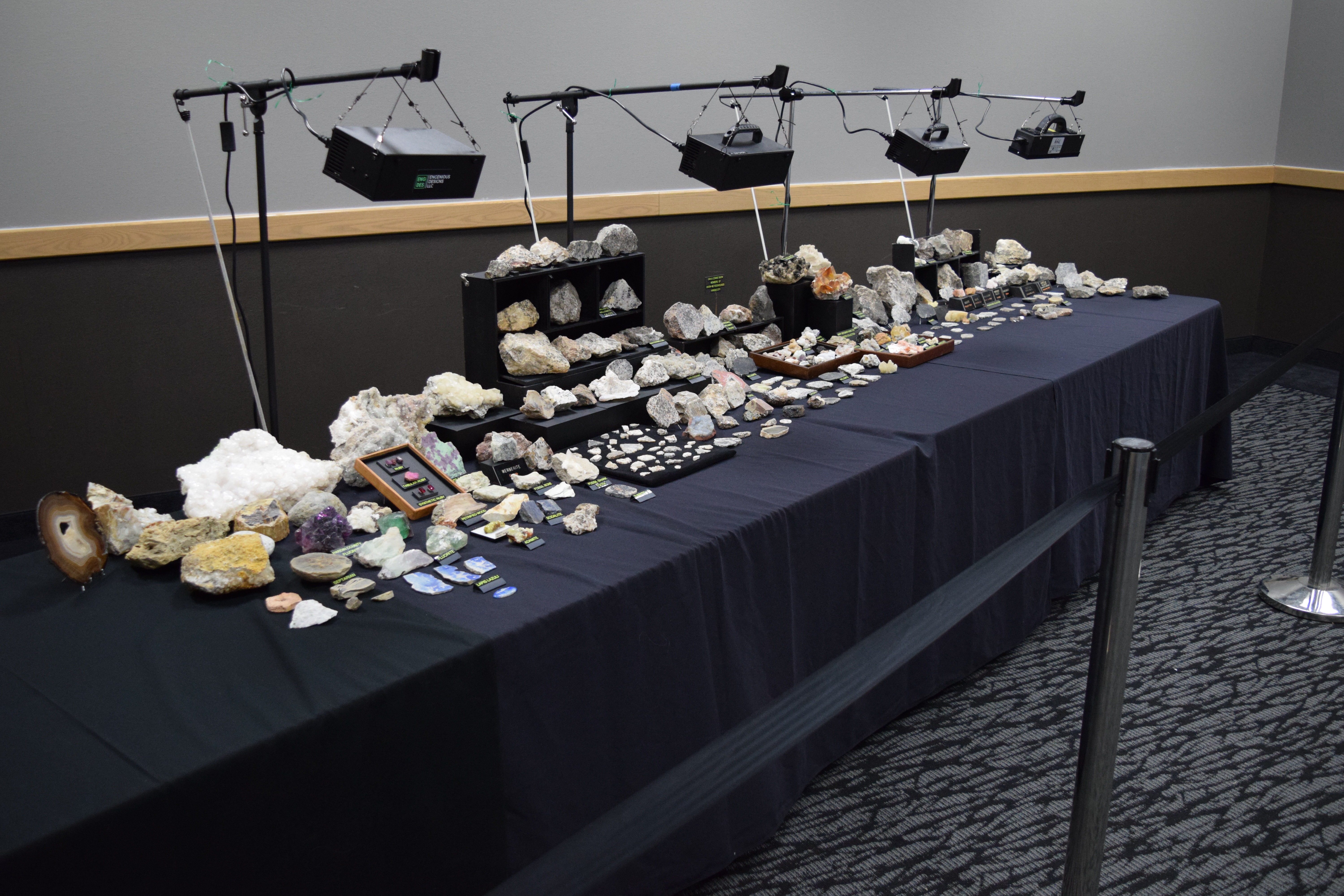 Fluorescent display under white light.