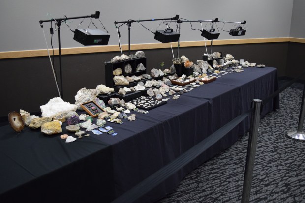 Fluorescent display under white light.