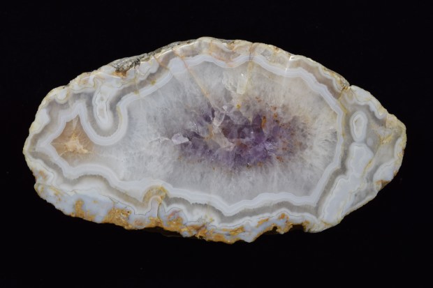 Fairburn Agate from South Dakota, photographed under white light.