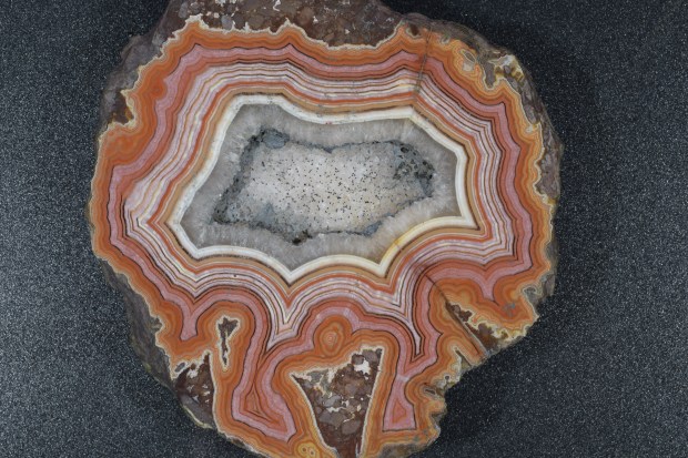 Dryhead agate under white light